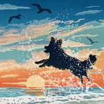 Seaside Border Collie Limited Edition Print - A Dog Lover’s Gift.