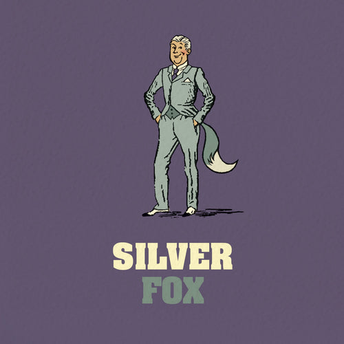 Funny Birthday Card For Men - Silver Fox