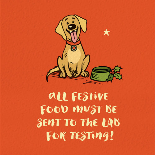 Funny Cartoon Labrador Christmas Card