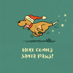Santa Paws Cartoon Labrador Christmas Card