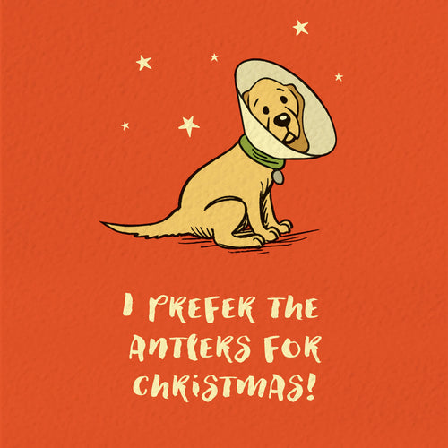 Fun Cartoon Labrador Christmas Card