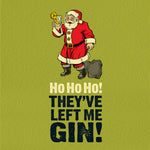 Santa They've left me gin!