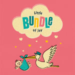 New Baby Girl Card - Little Bundle Of Joy